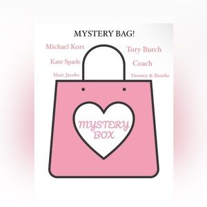 MYSTERY  Designer Item NWT